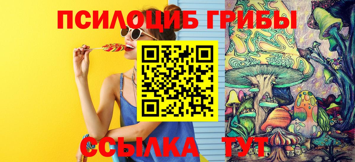 где можно купить   Псилоцибиновые грибы Psilocybe  Вход с VPN  Ульяновск 